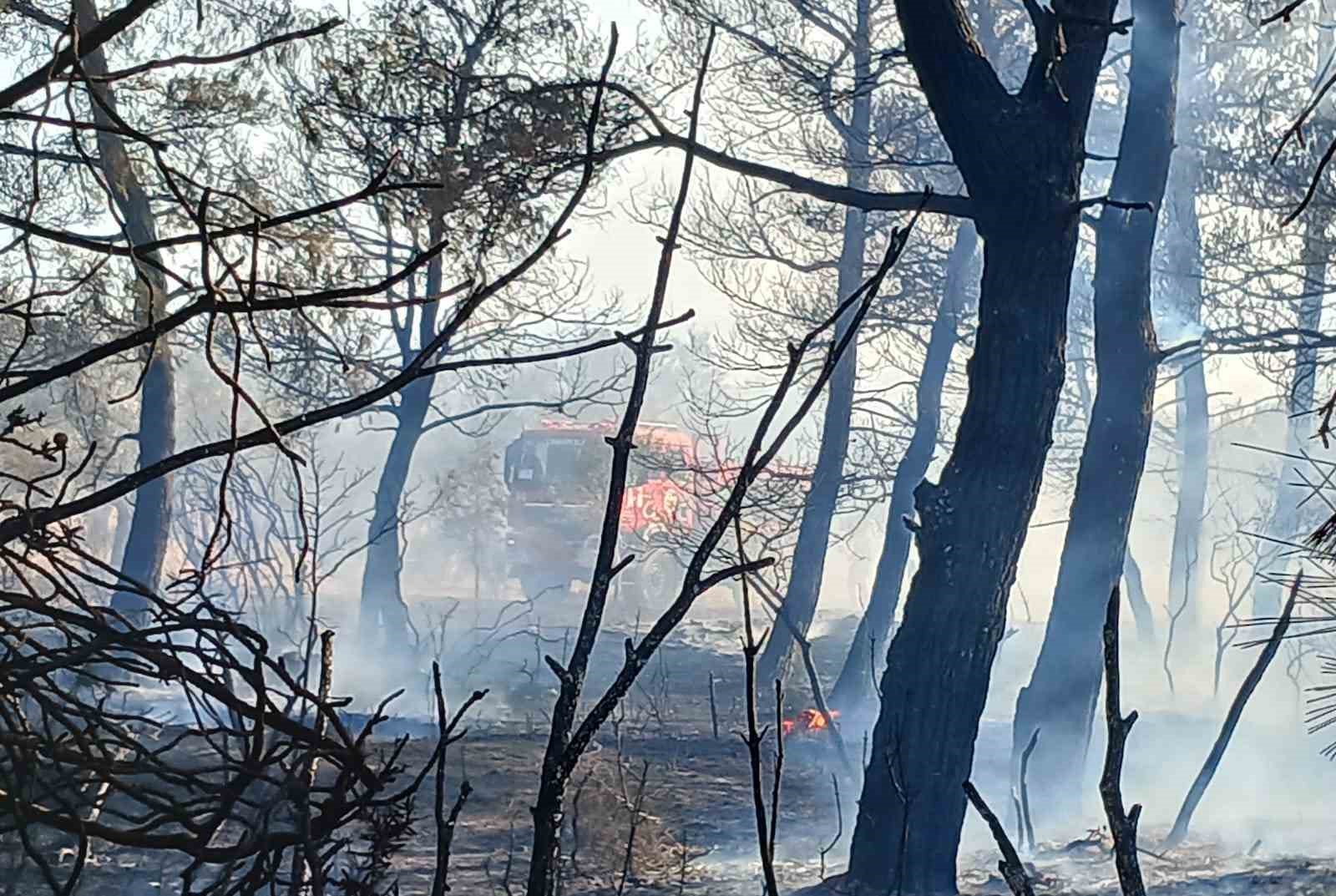 &Ccedil;anakkale&rsquo;de ormanlık alanda &ccedil;ıkan yangın kontrol altına alındı

