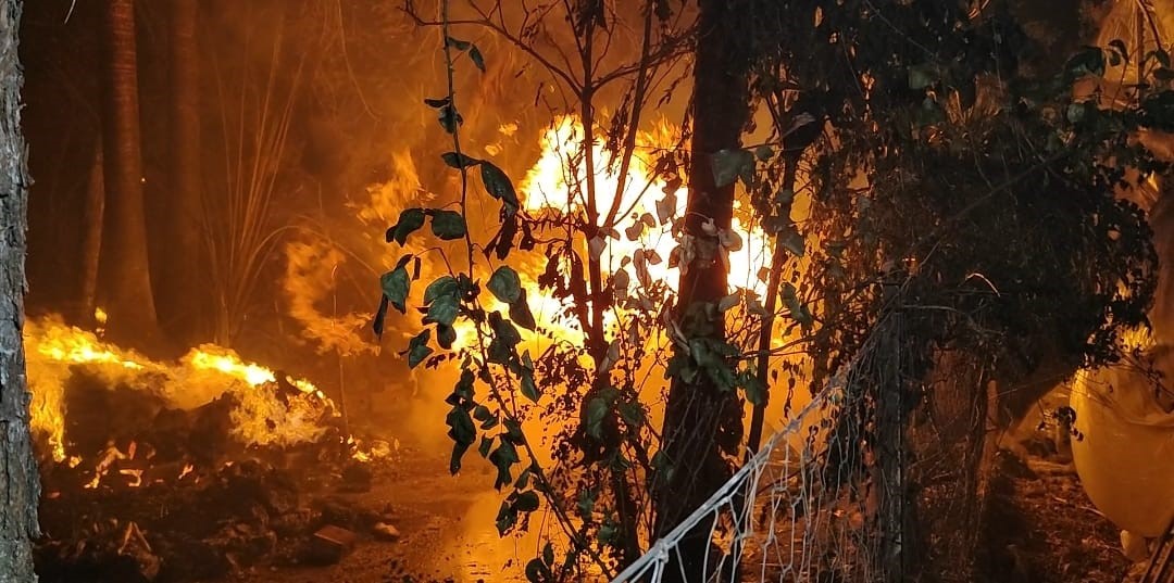 Antalya’da yerleşim yerine yakın sazlık alanda yangın paniği