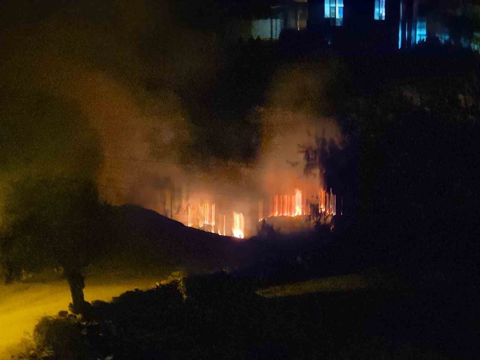 Milas&rsquo;ta &ccedil;ıkan sazlık yangını hızlı m&uuml;dahaleyle kontrol altına alındı
