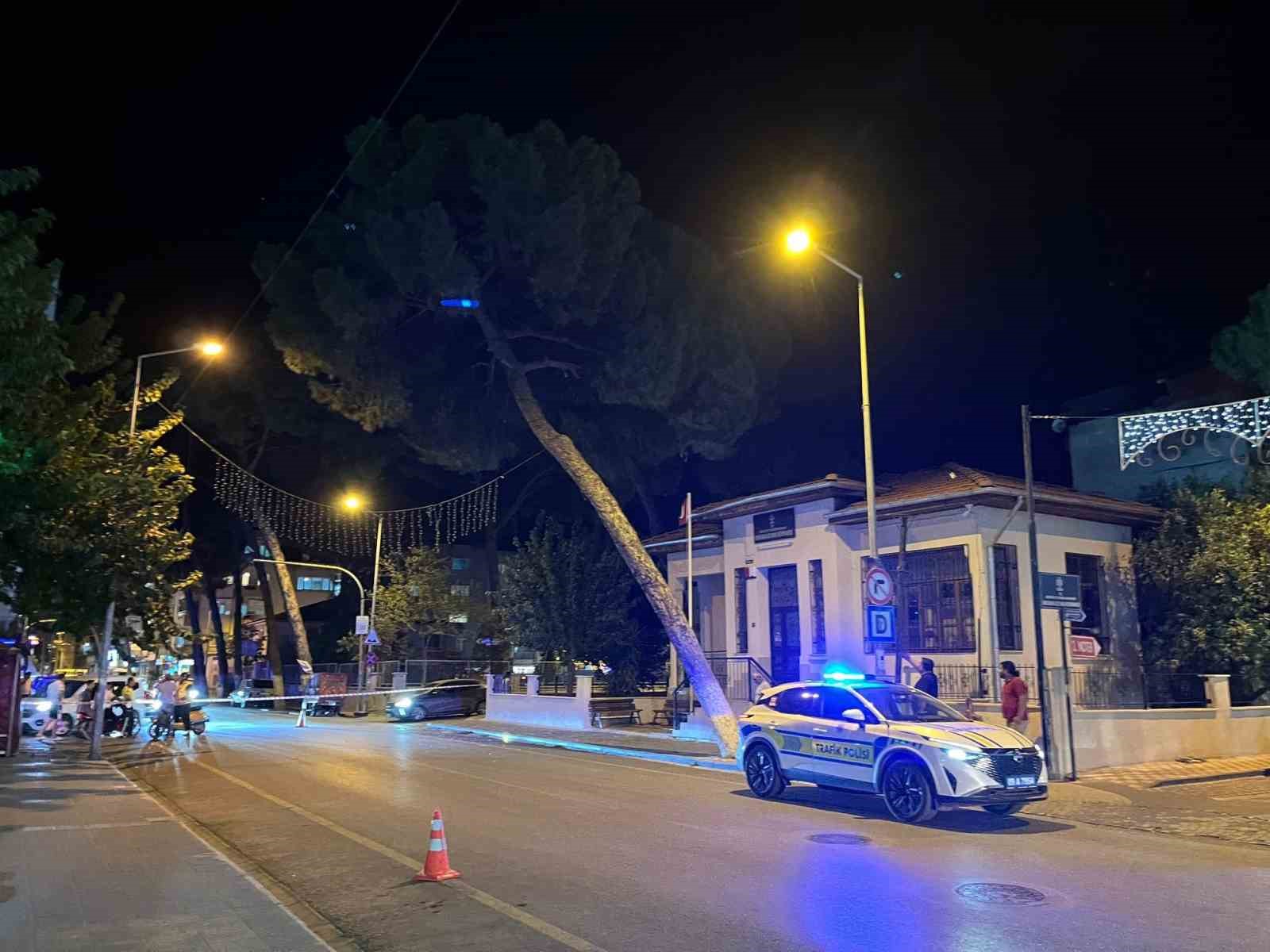 İncirliova’da çam ağacı kuvvetli rüzgara dayanamadı