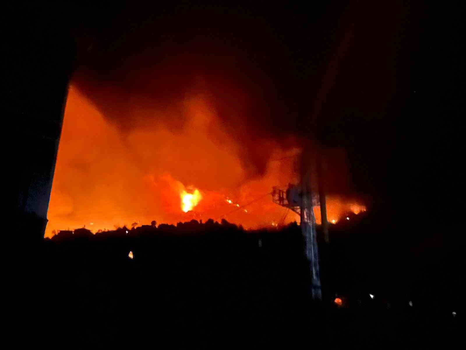 Alanya’da orman yangını
