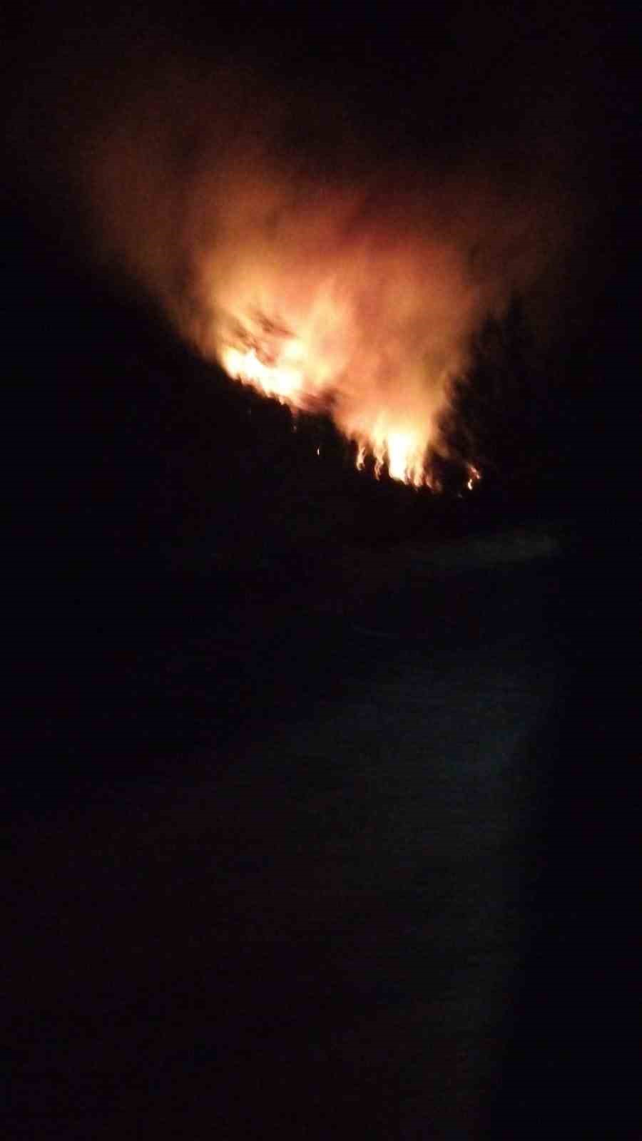 Köyceğiz’de orman yangını