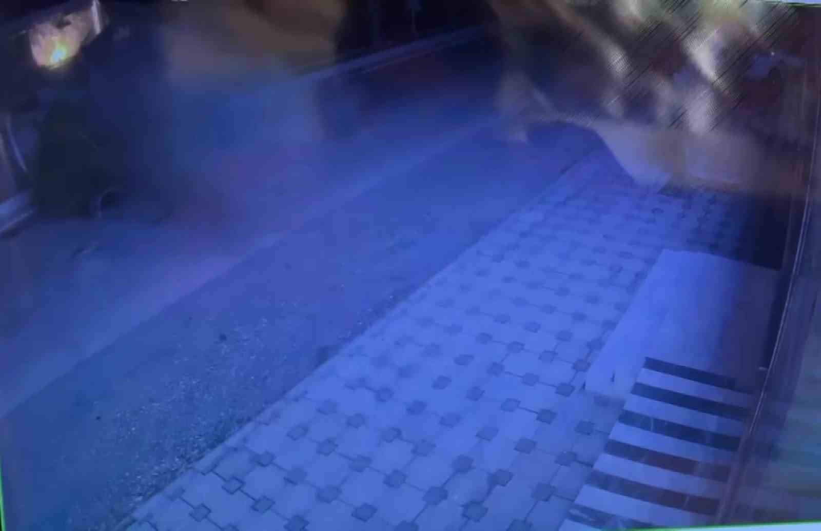 Otomobil ağaca çarptı: 3 yaralı