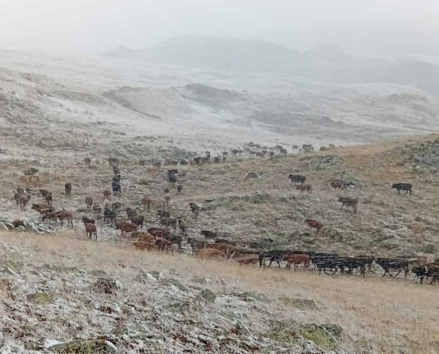 Erzurum’da yüksek kesimlere kar yağdı