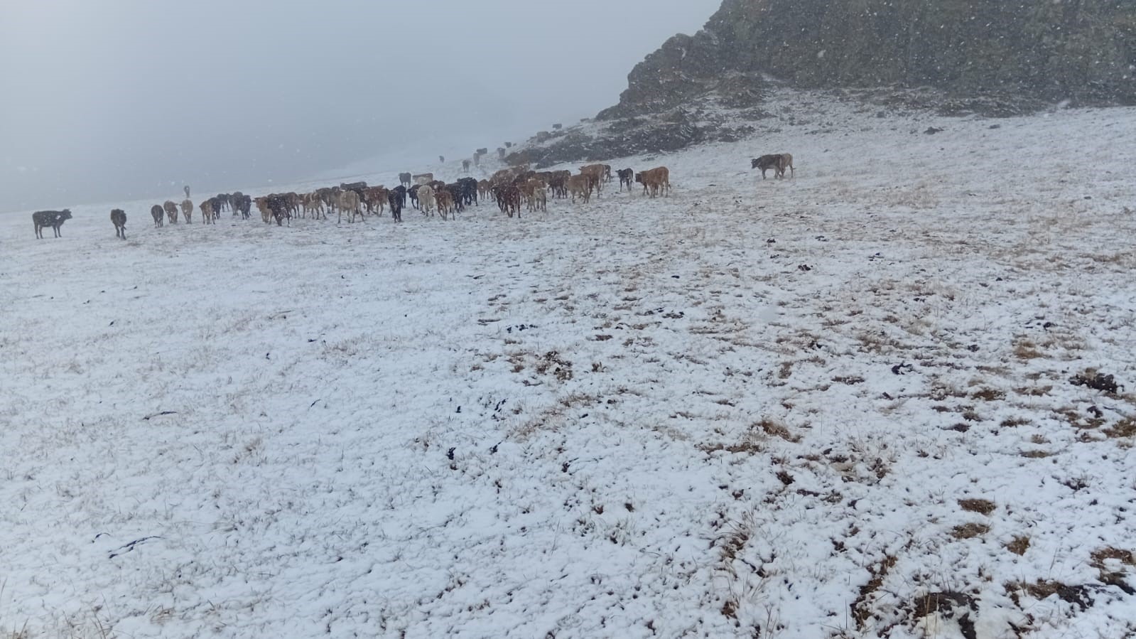 Erzurum&rsquo;da y&uuml;ksek kesimlere kar yağdı
