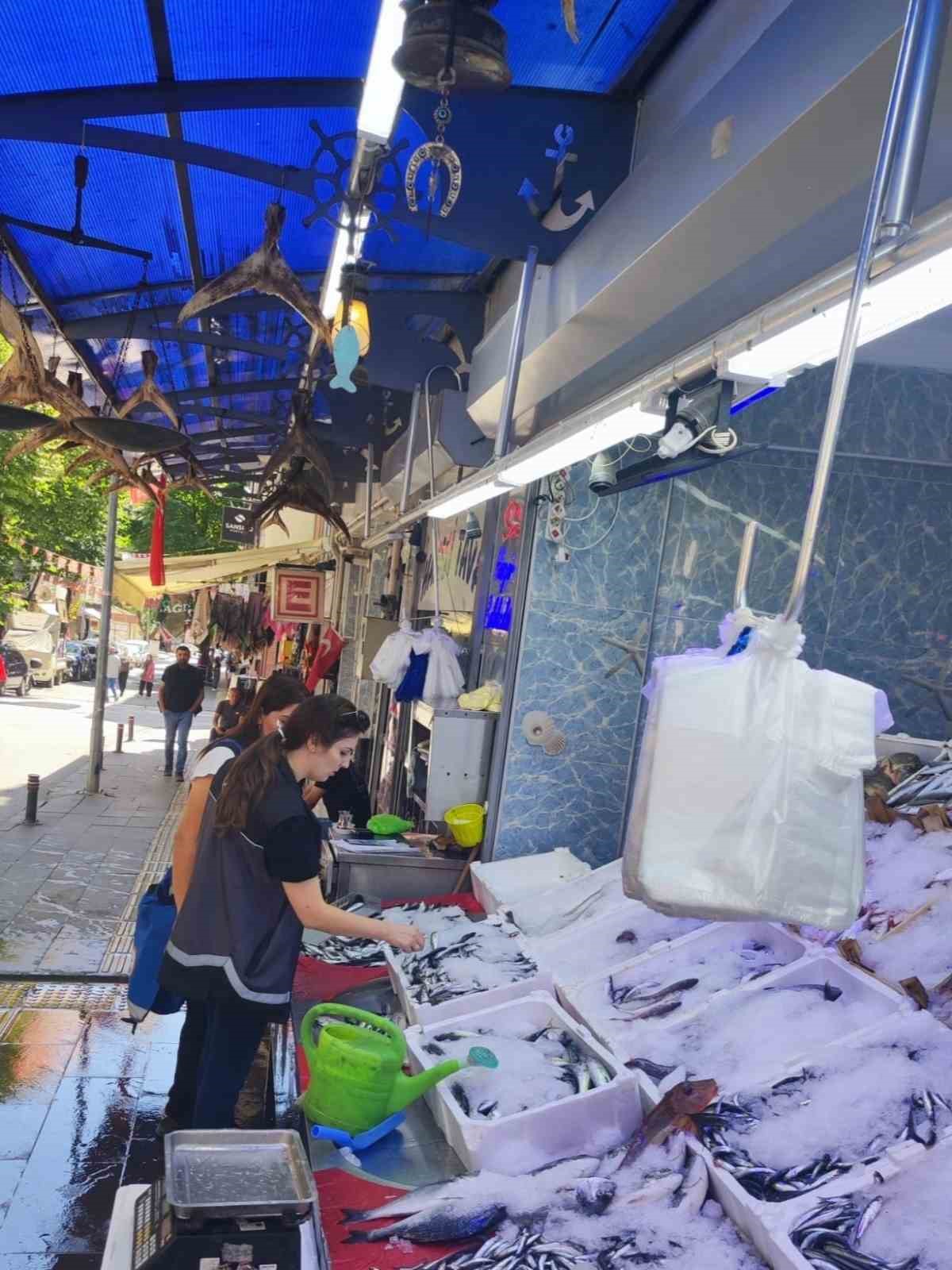 Bilecik&rsquo;te perakende balık satış yerleri denetlendi
