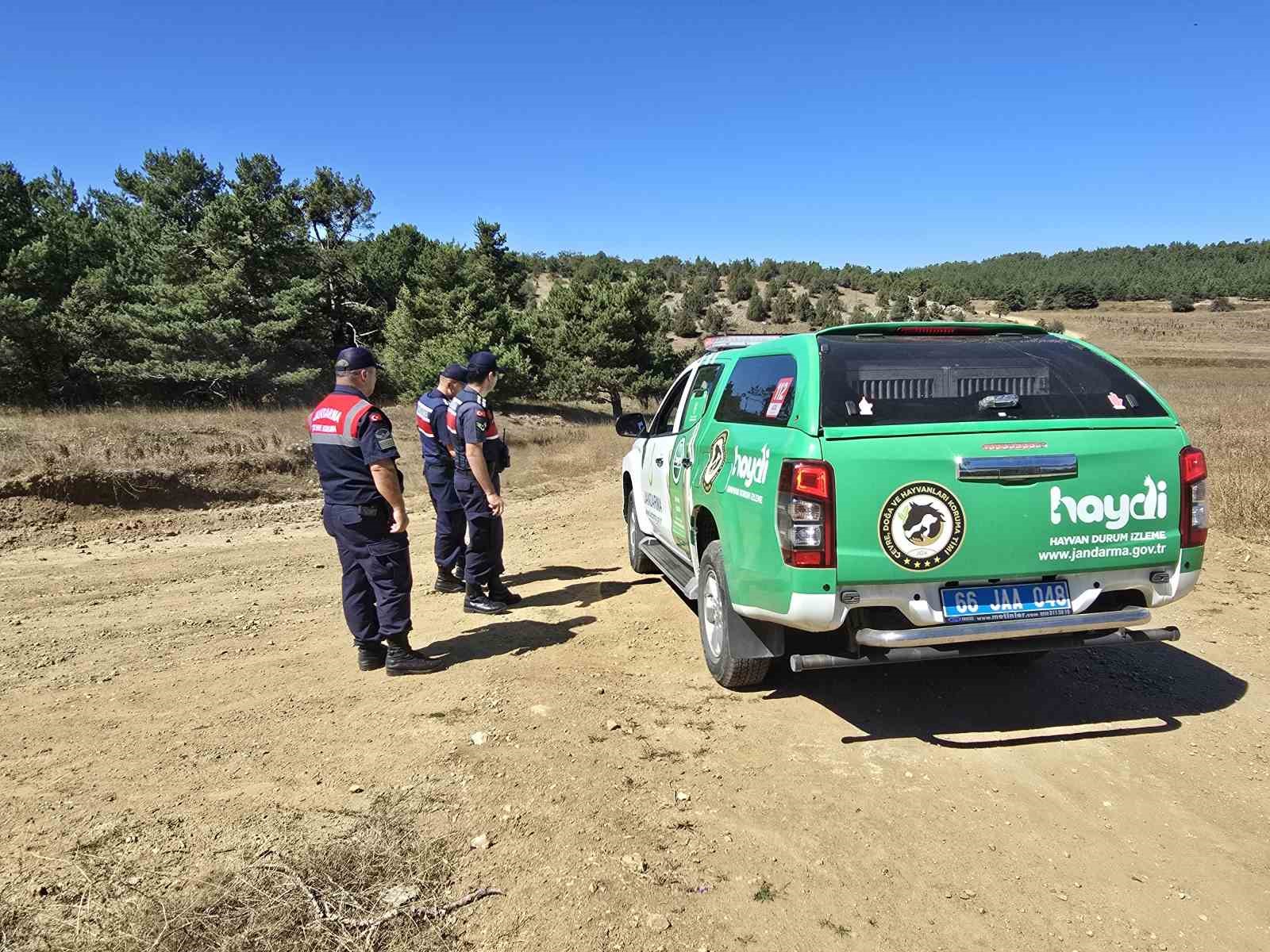 Çevre kirliliğine duyarsız kalmadılar, jandarma ile çevre temizliği yaptılar
