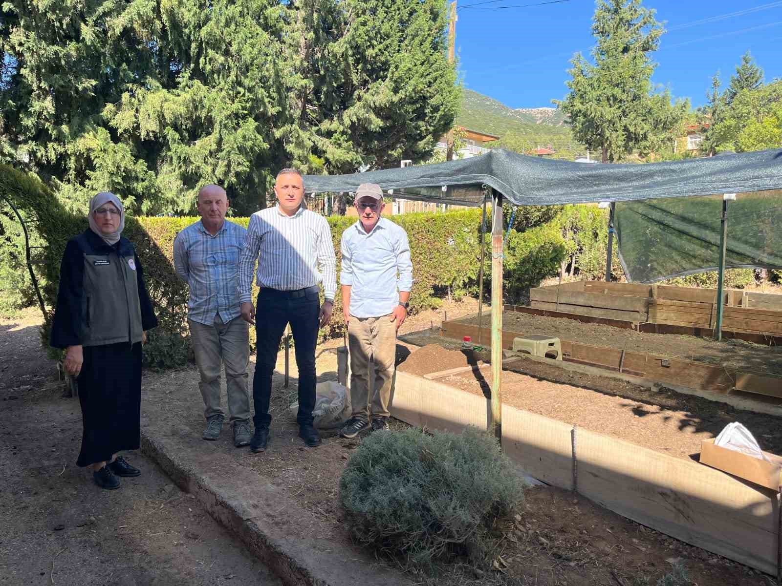 Dinar’da sezonun ilk salep ekimi yapıldı