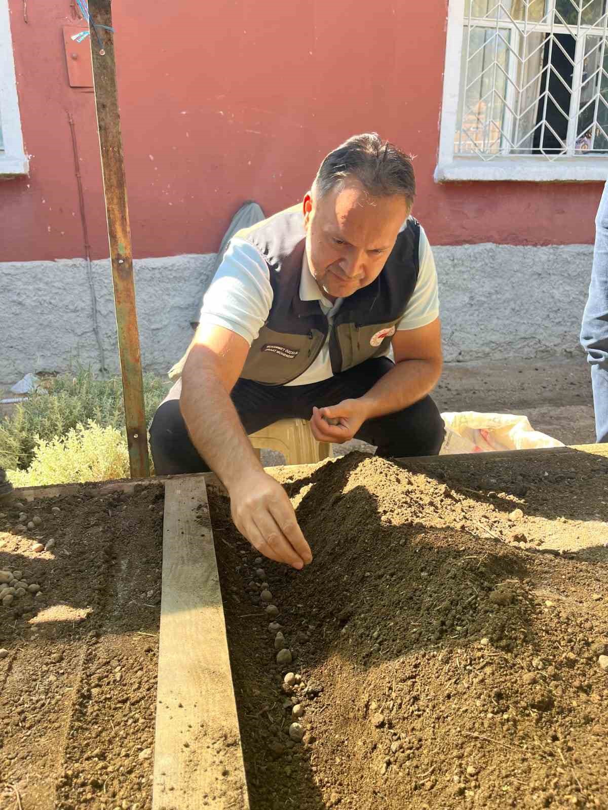 Dinar&rsquo;da sezonun ilk salep ekimi yapıldı
