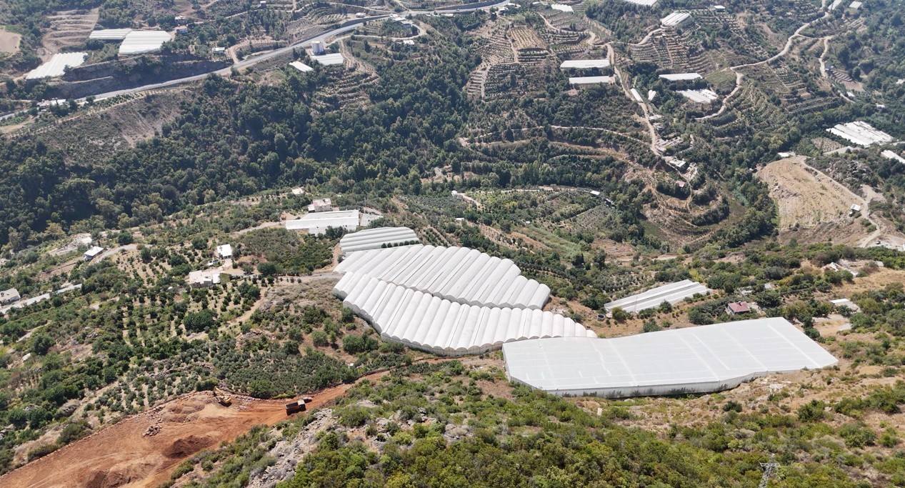 Engebeli arazide tropikal meyve başarısı: 104 dönümlük serada 20’den fazla çeşit meyve yetiştiriliyor