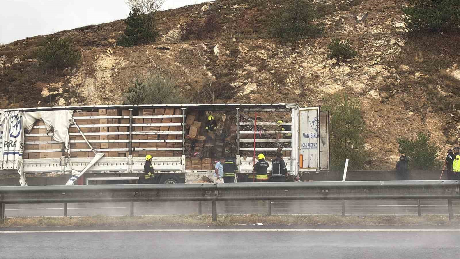 TEM Otoyolu&rsquo;nda kamyon dorsesinde yangın &ccedil;ıktı
