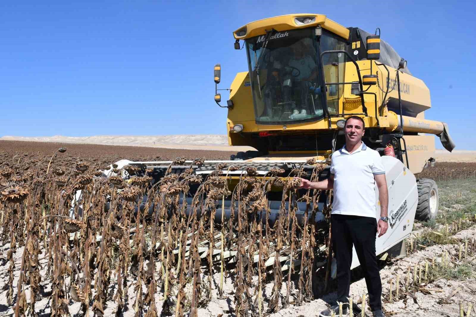 Beylikova Belediyesi&rsquo;nden tarımda &ouml;rnek proje
