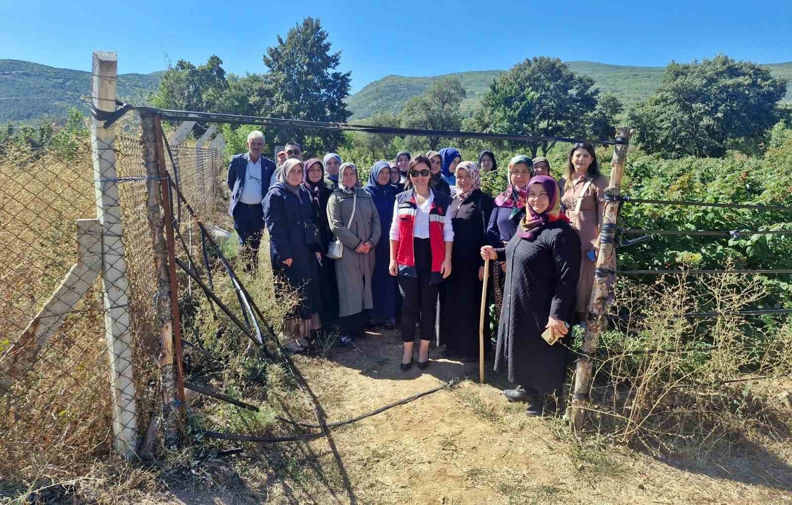 Aslanapa’da kadın çiftçiler için teknik gezi düzenlendi