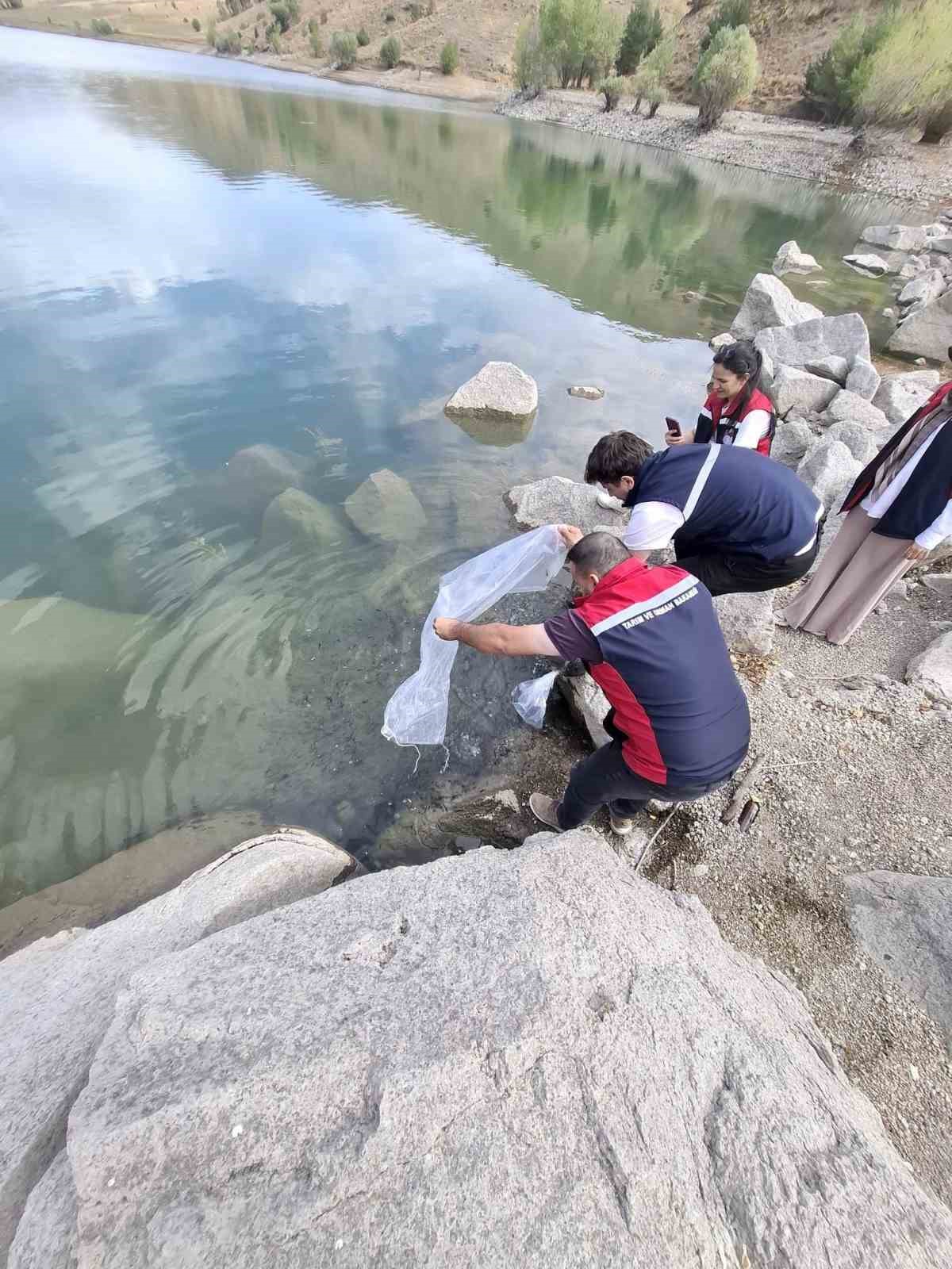 Yüzbinlerce balık suyla buluştu