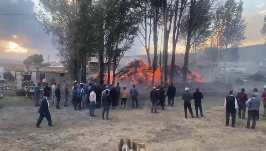 Tekman&rsquo;da korkutan ot yangını
