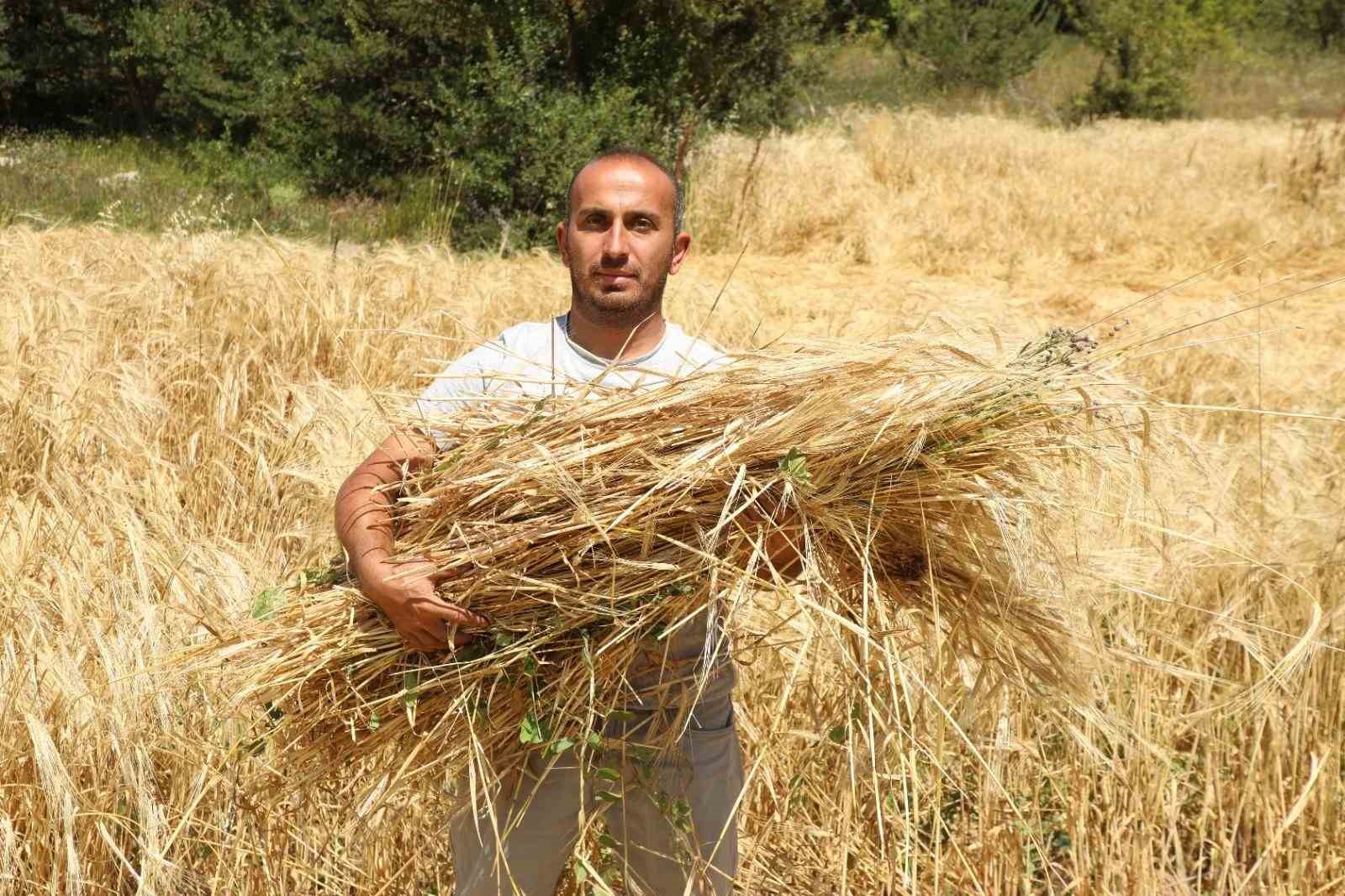 İstanbul’dan Ordu’ya uzanan çiftçilik öyküsü başarıya dönüştü