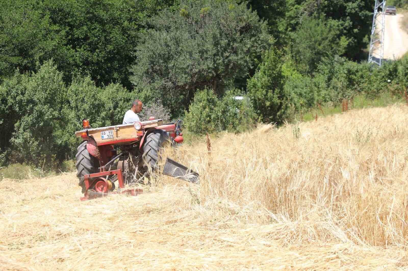 İstanbul&rsquo;dan Ordu&rsquo;ya uzanan &ccedil;ift&ccedil;ilik &ouml;yk&uuml;s&uuml; başarıya d&ouml;n&uuml;şt&uuml;
