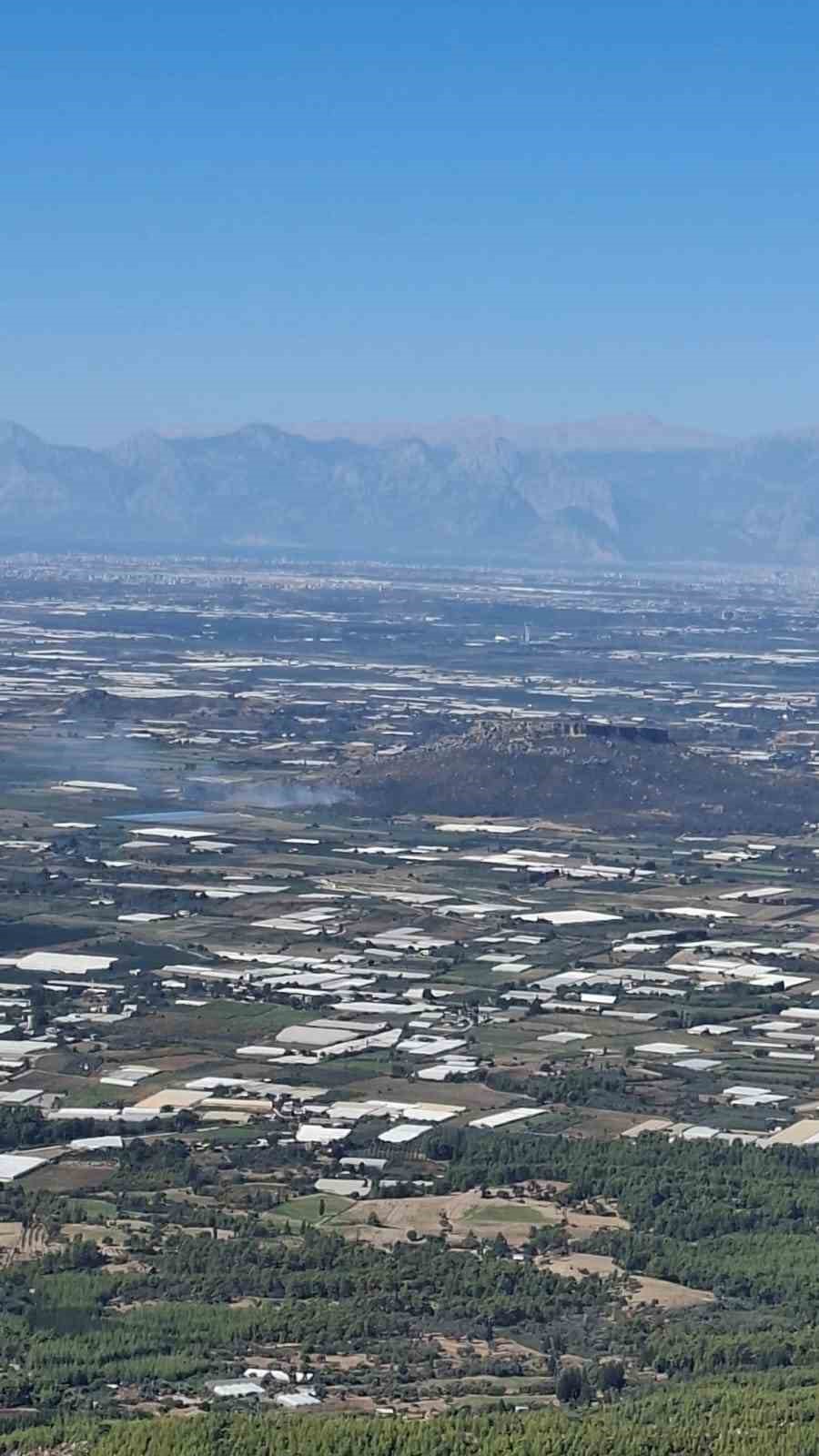 Serik&rsquo;te makilik ve zeytinlik alanda &ccedil;ıkan yangın 1 saatte kontrol altına alındı
