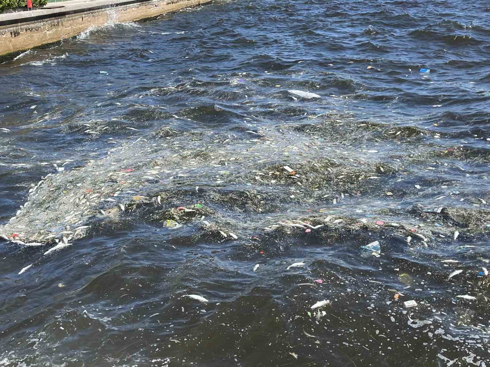 İzmir K&ouml;rfezi&rsquo;nde balık &ouml;l&uuml;mleri yeniden başladı
