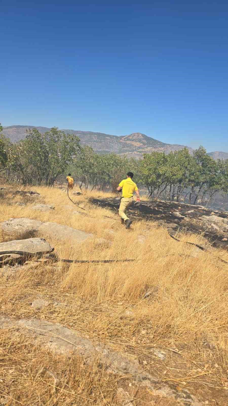Diyarbakır’da orman ve örtü yangını
