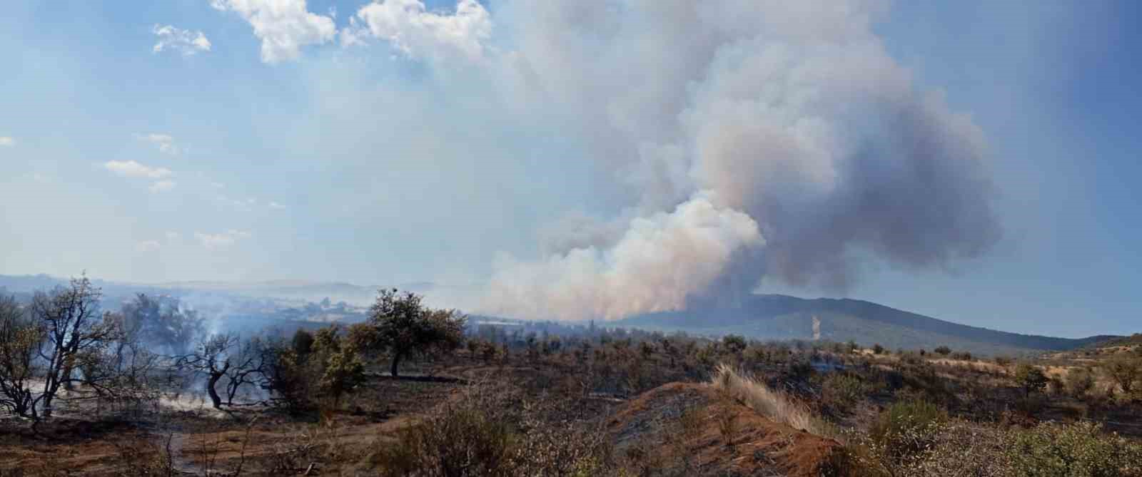 Çanakkale’de tarım arazisinde yangın