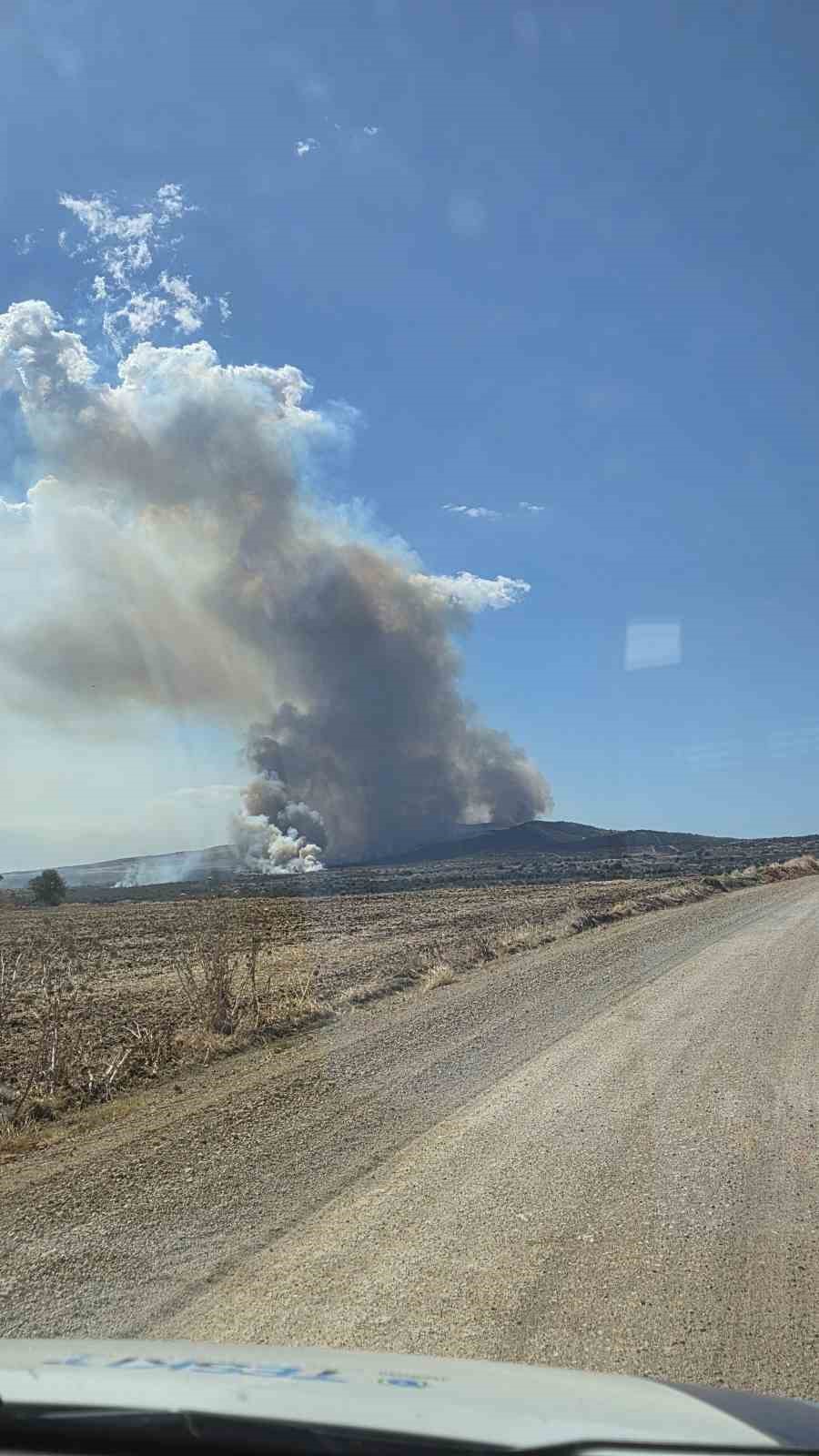 Çanakkale’de tarım arazisinde yangın