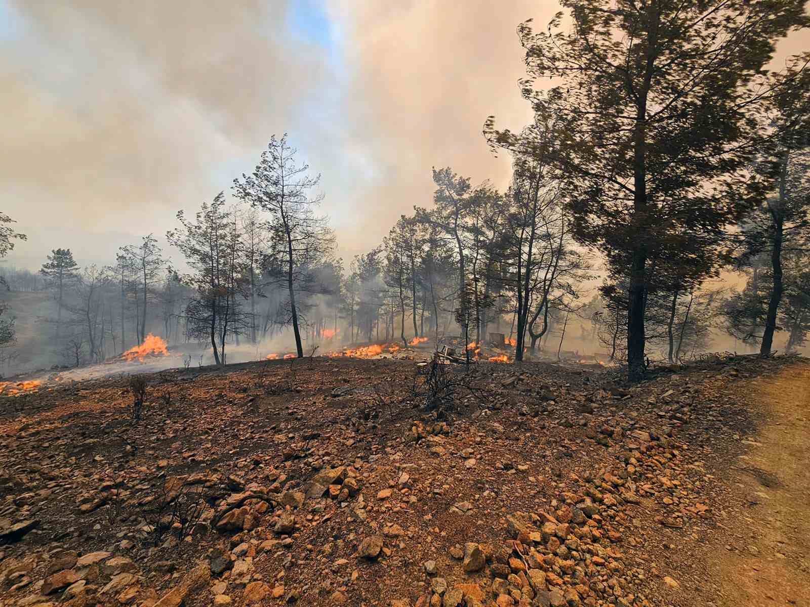 Muğla Büyükşehir İtfaiyesi Milas ve Köyceğiz’de alevlerle mücadele ediyor