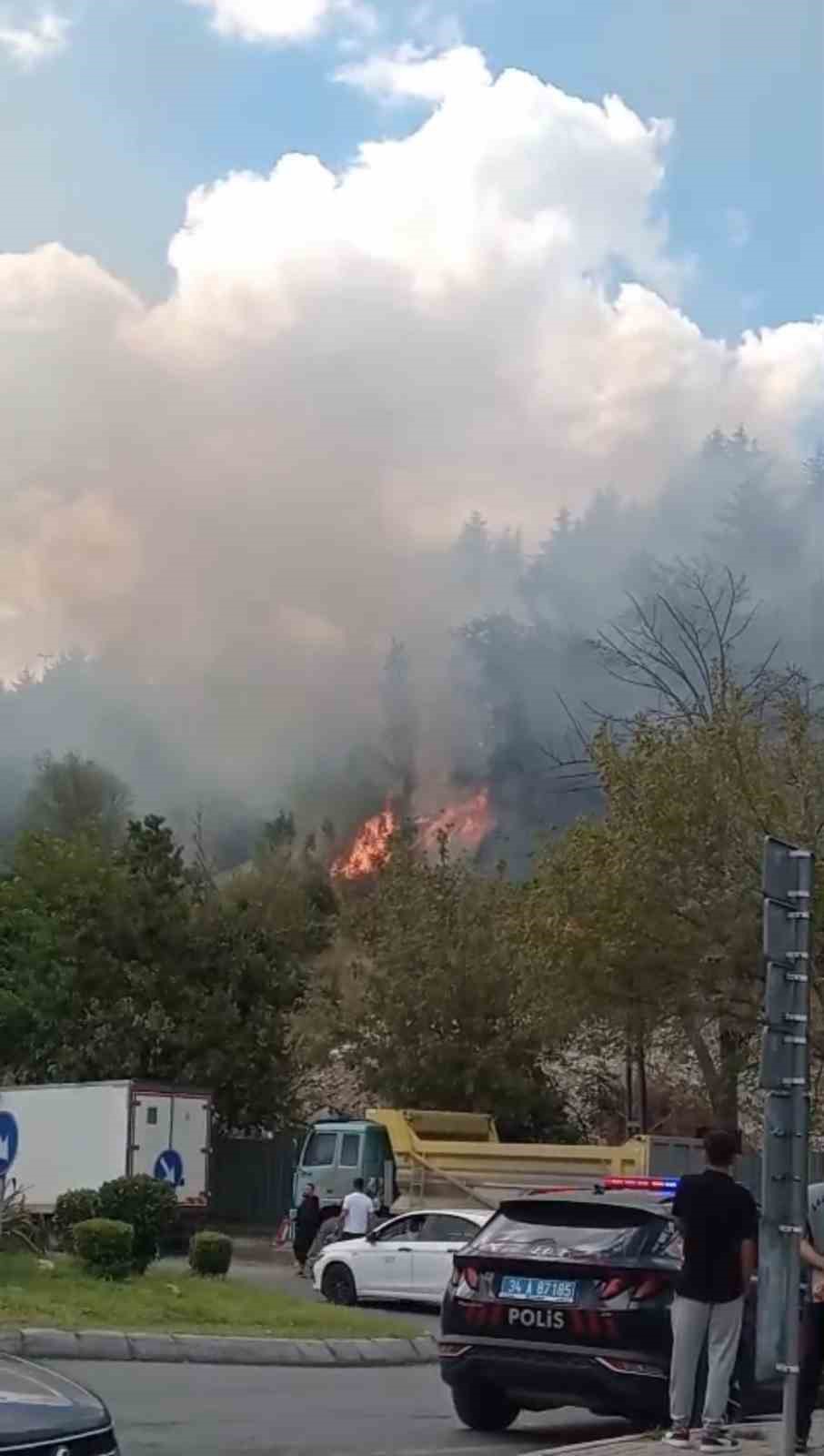 Kağıthane&rsquo;de ağa&ccedil;lık alan alev alev yandı
