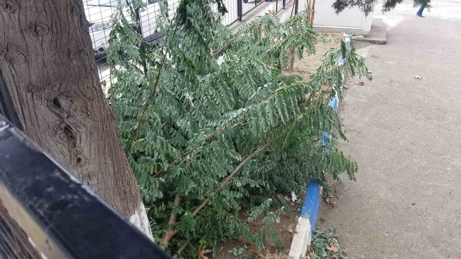 Sinop’ta fırtına