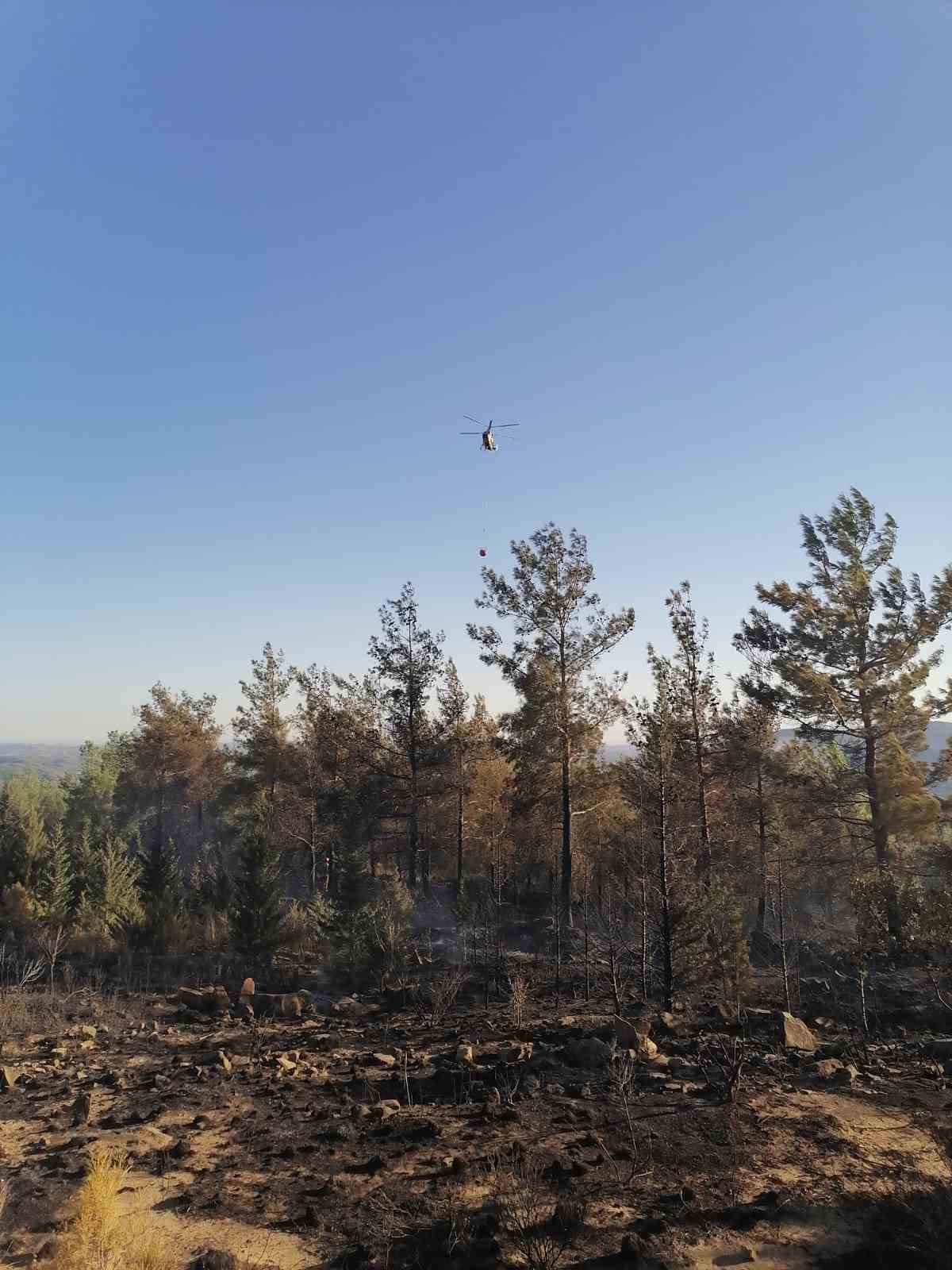 Adana&rsquo;da &ccedil;ıkan orman yangınları s&ouml;nd&uuml;r&uuml;ld&uuml;
