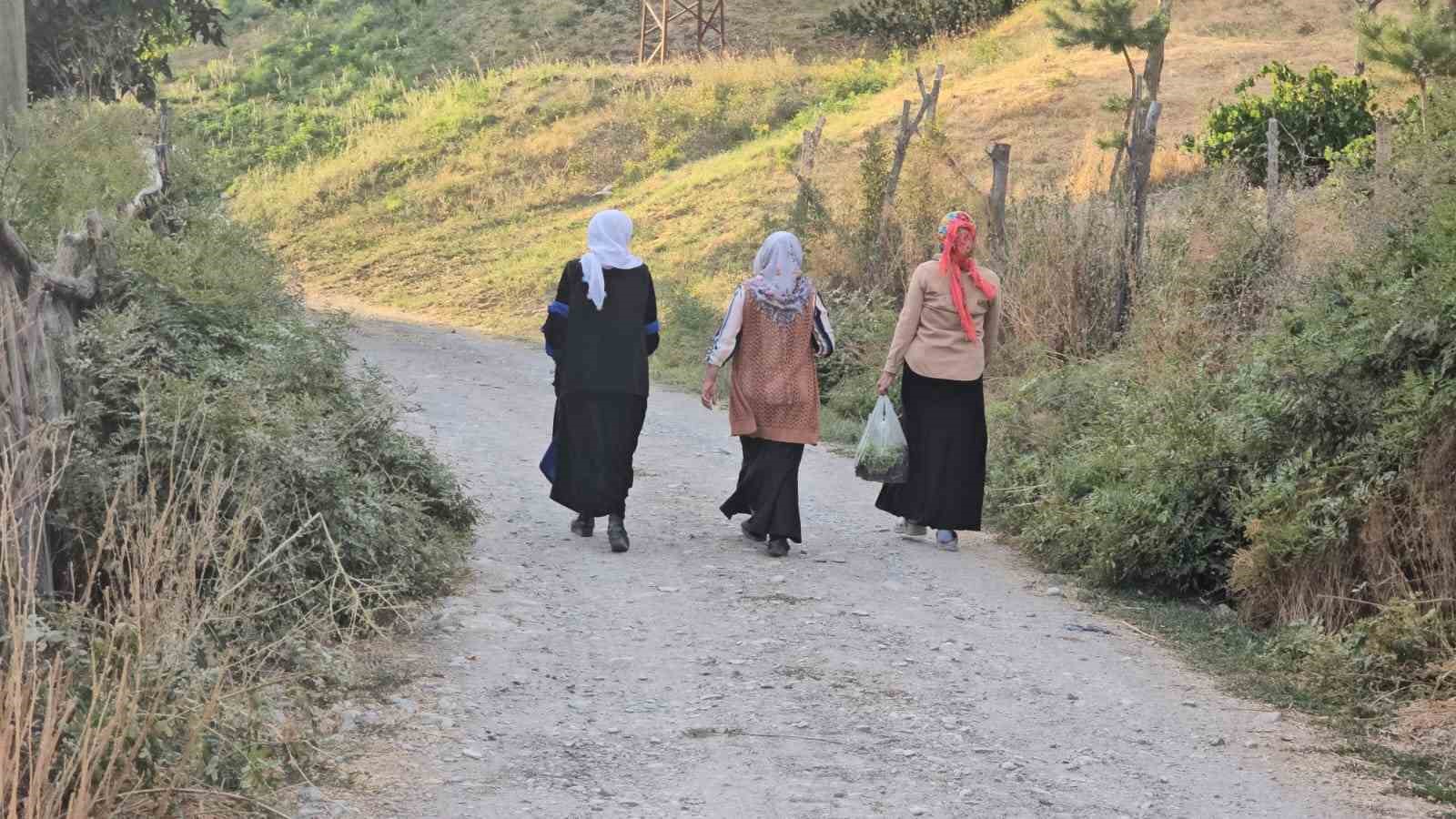 Demirli Rezan mezrası sakinleri asfaltlı yol ve sulama havuzu istiyor