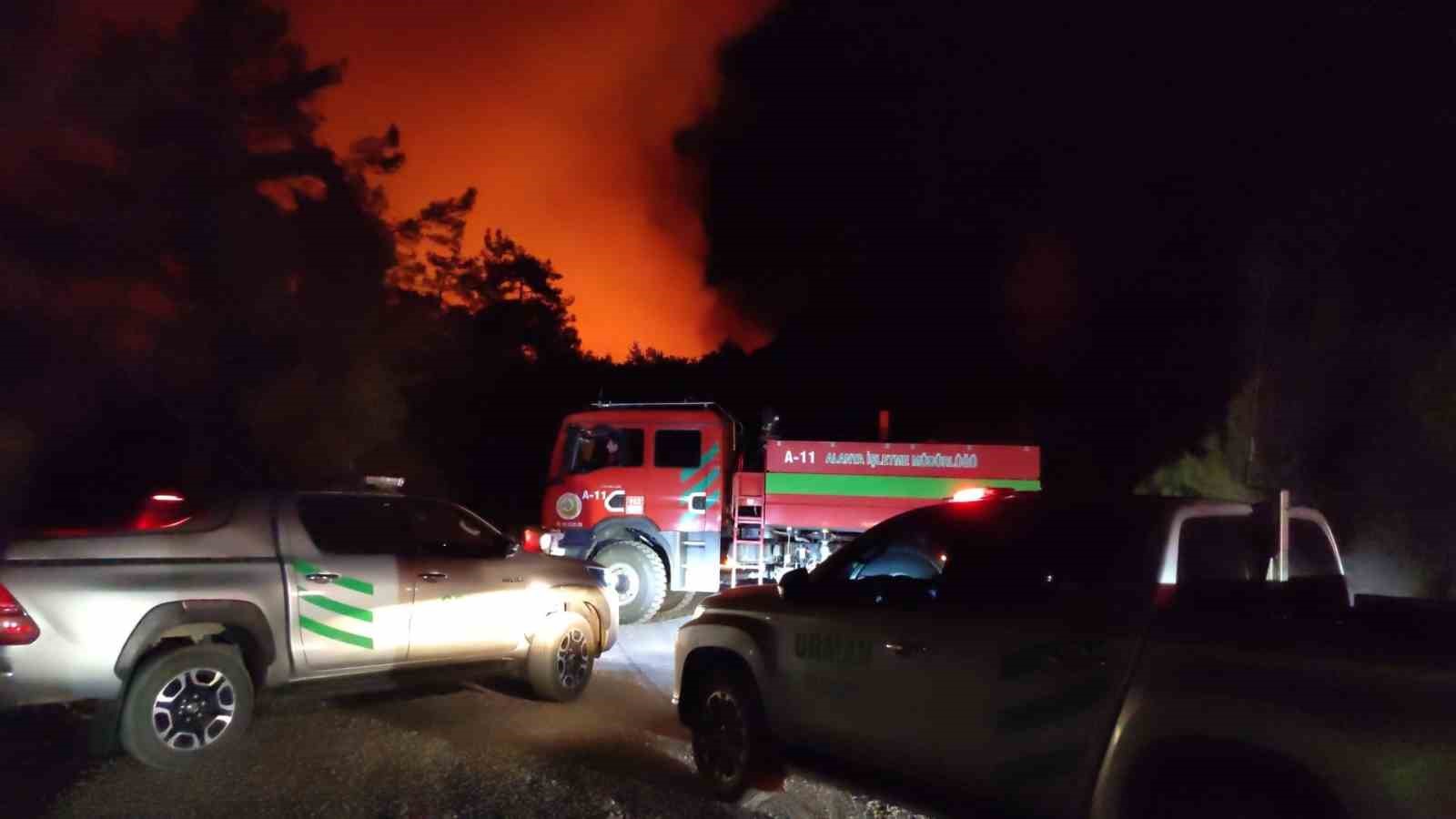Alanya’da ormanlık alanda yangın