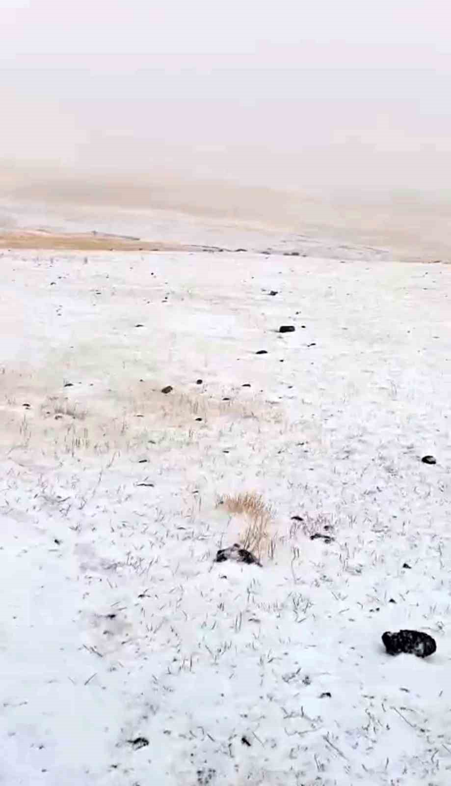 Diyadin&rsquo;de Eyl&uuml;l&rsquo;de yağan kar k&ouml;y&uuml; beyaza b&uuml;r&uuml;d&uuml;
