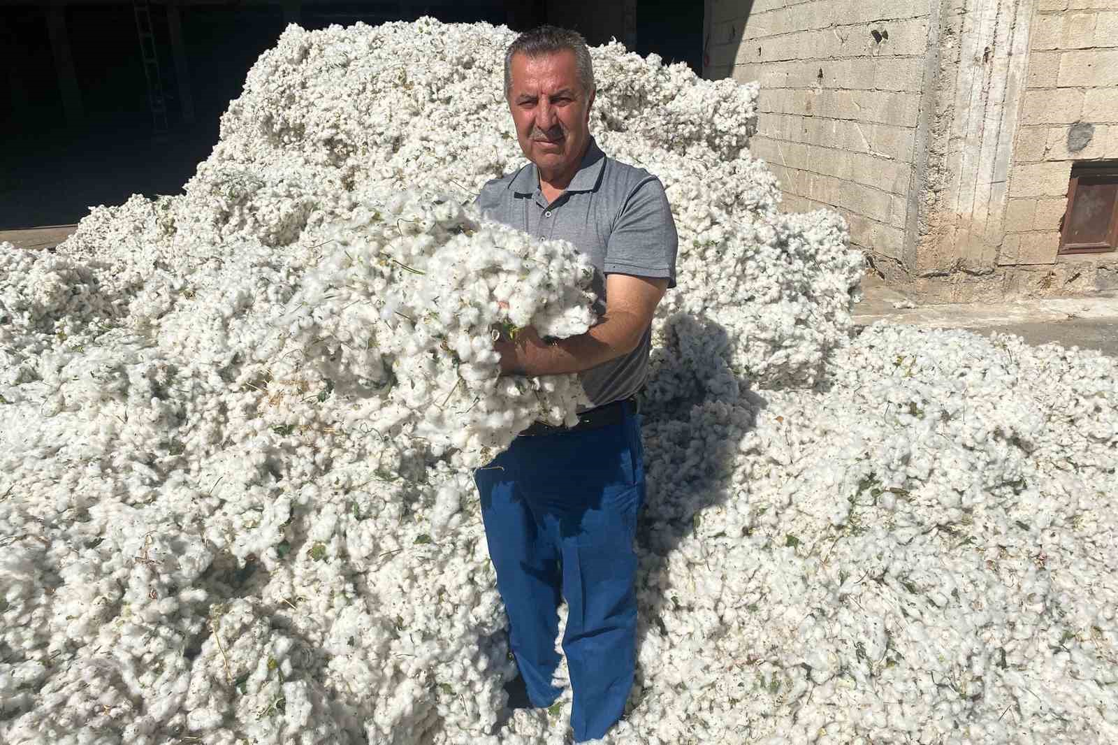 Gaziantep’in Araban ilçesinde pamuk hasadı başladı