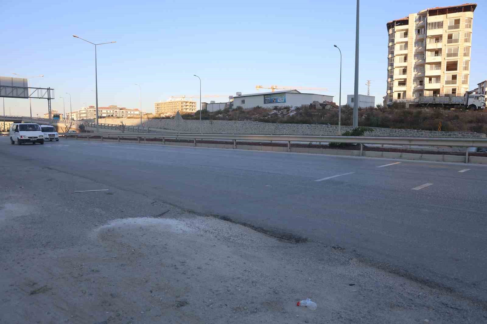 Ahırdan kaçan buzağı, kara yoluna çıkınca sürücülere zor anlar yaşattı