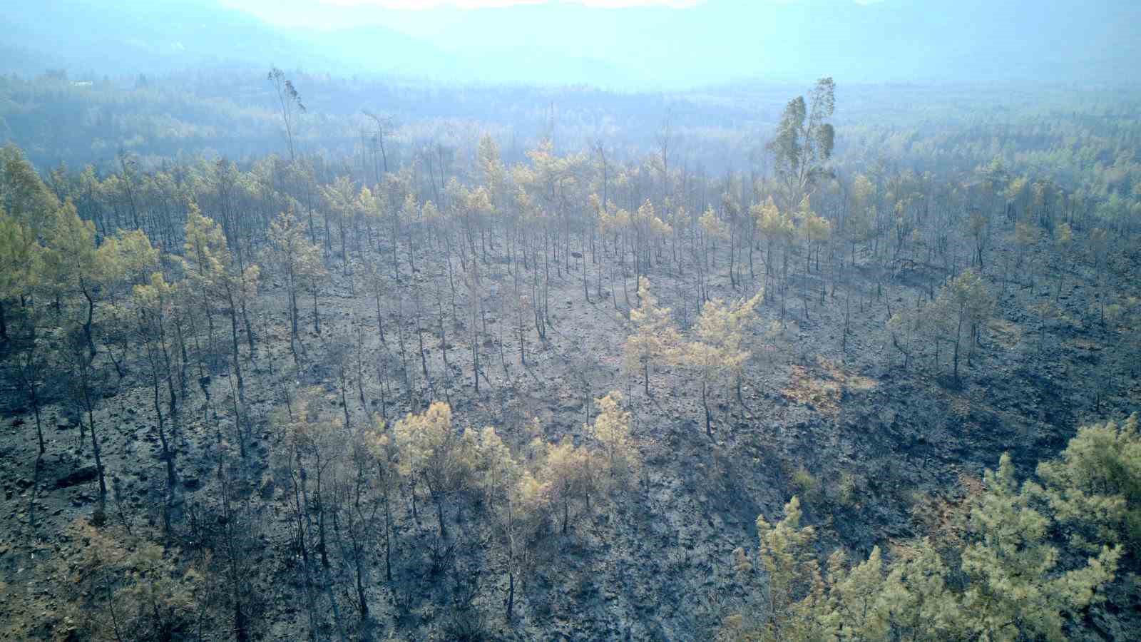 Muğla’da yangın felaketinin boyutu drone görüntüleriyle ortaya çıktı
