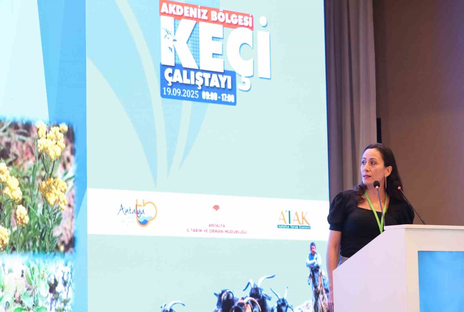 B&uuml;y&uuml;kşehir&rsquo;in &lsquo;&Ccedil;oban Haritası Projesi&rsquo; ilgi g&ouml;rd&uuml;
