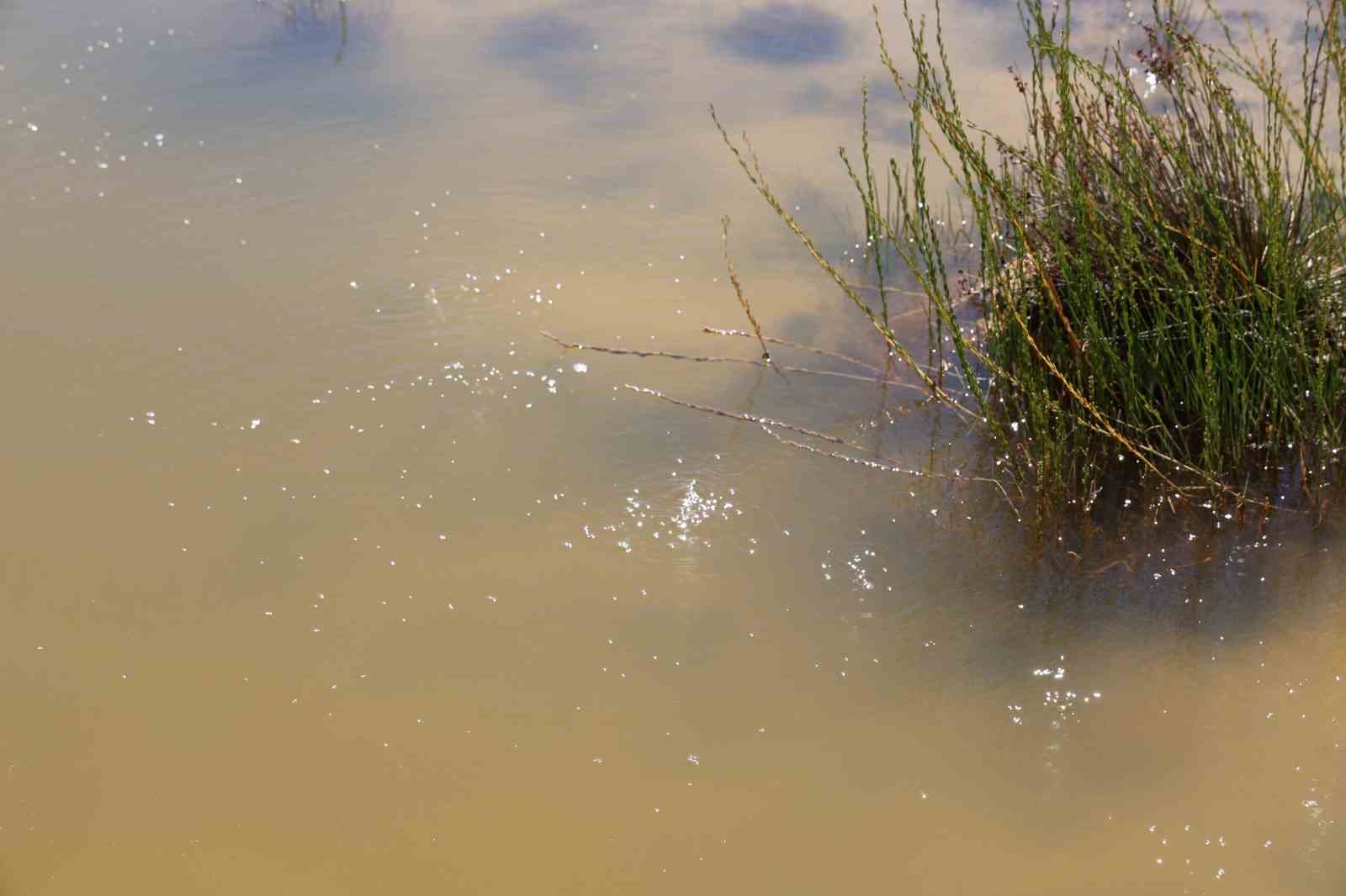 &Uuml;n&uuml; &uuml;lke sınırlarını aşan asırlık şifa kaynağı, hastalara umut oluyor
