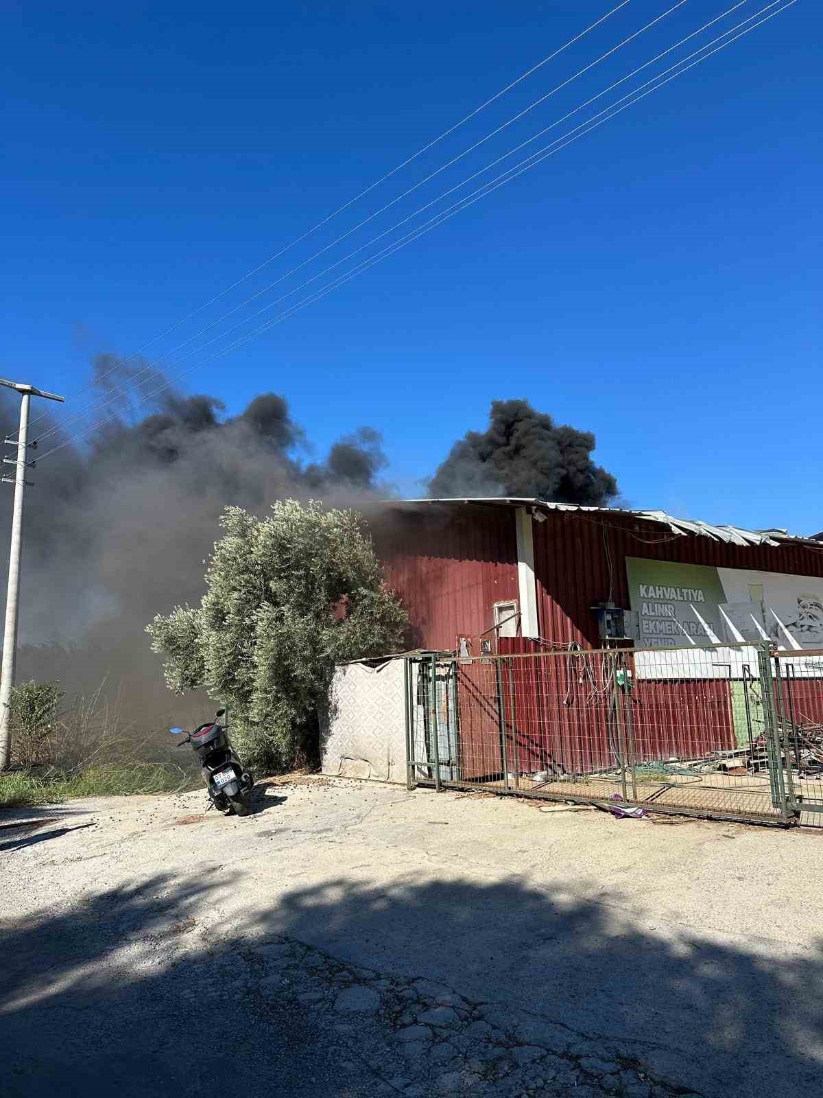 Kamışlık alanda başlayan yangın gıda toptancı deposuna sıçradı