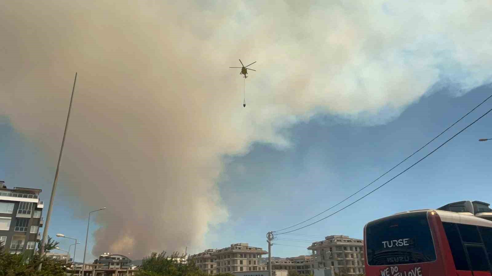 Alanya’da ormanlık alanda yangın