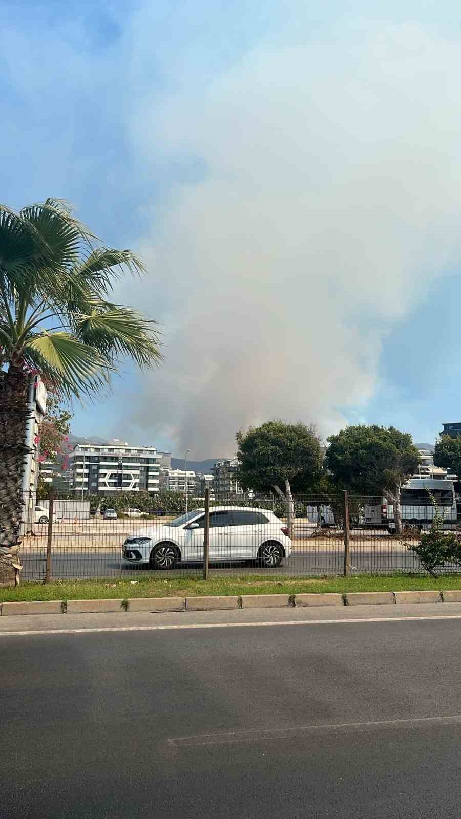 Alanya&rsquo;da ormanlık alanda yangın

