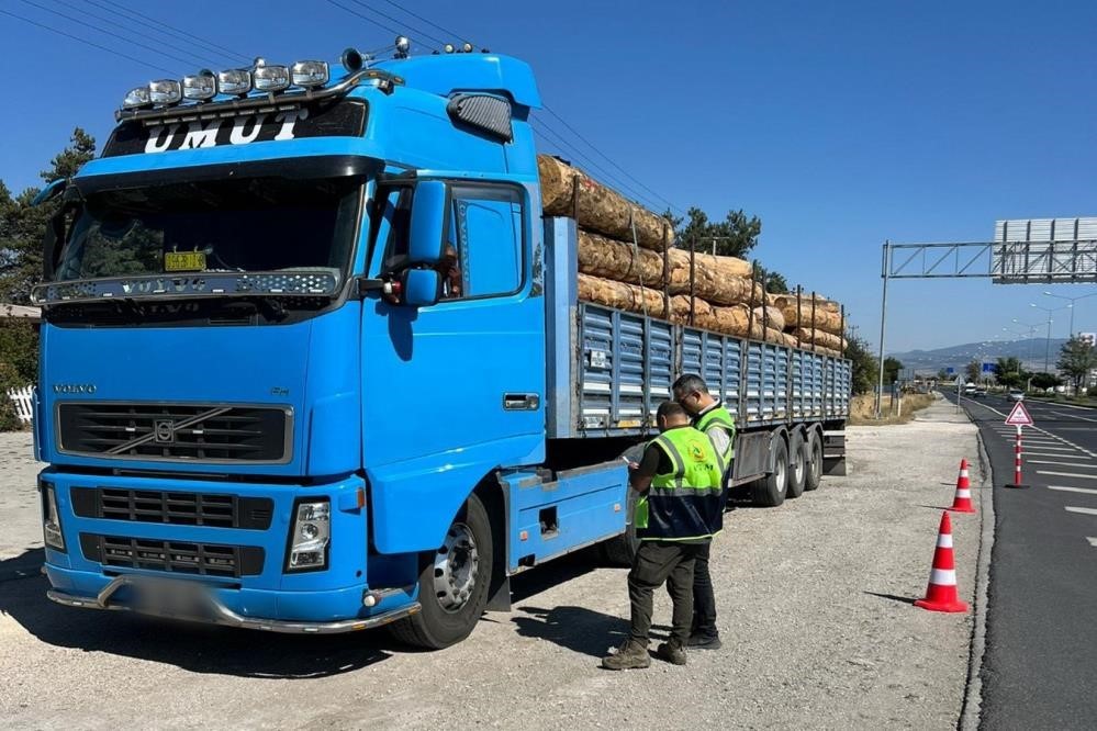D&uuml;zce&rsquo;den 9 bin 967,5 ton orman &uuml;r&uuml;n&uuml; ihra&ccedil; edildi
