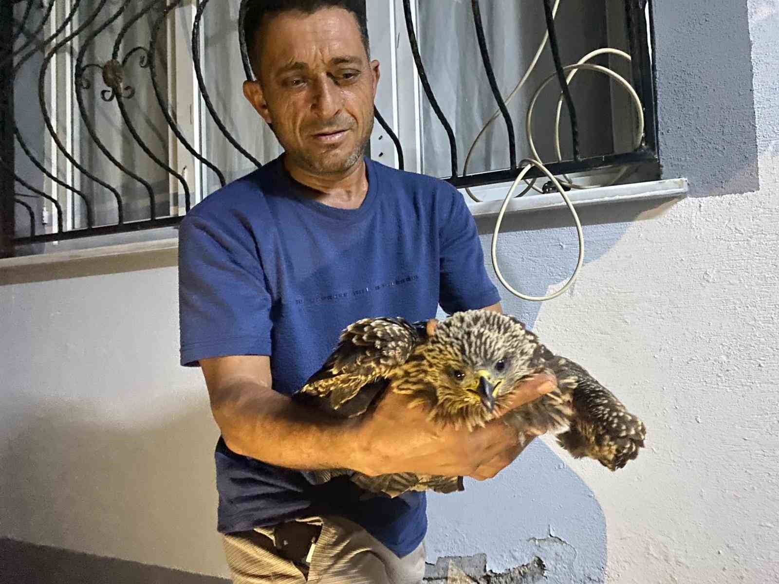 Bulduğu şahine ciğer dürüm söyledi