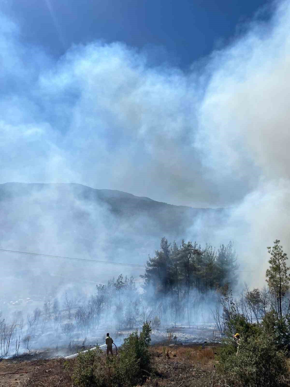 Sındırgı’da orman yangını