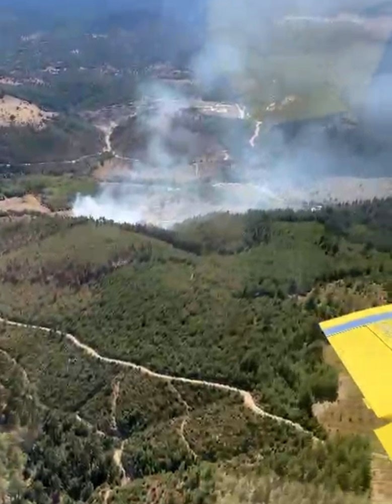 Sındırgı’da orman yangını