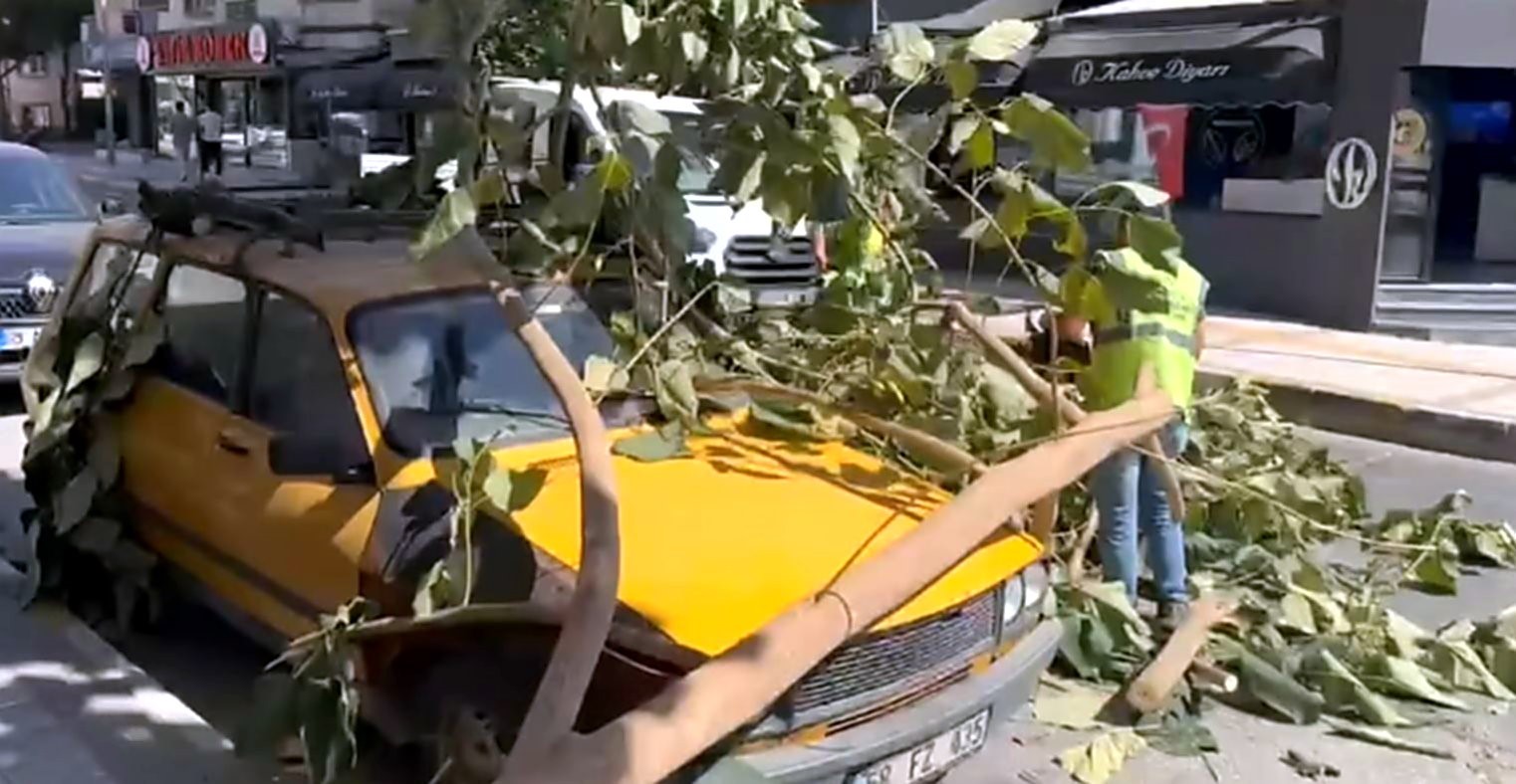 Söke’de ağaç dalı park halindeki aracın üzerine düştü