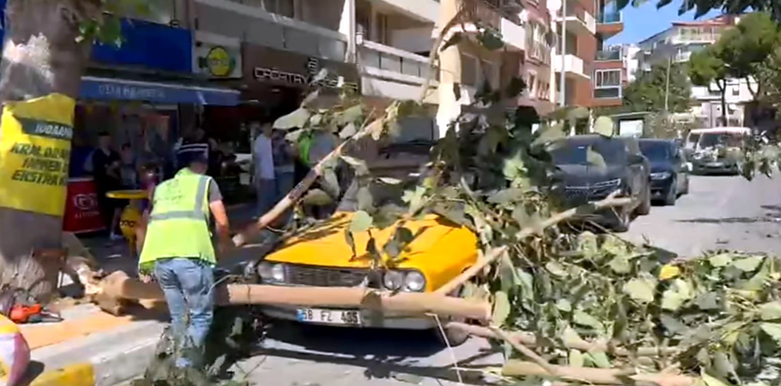 S&ouml;ke&rsquo;de ağa&ccedil; dalı park halindeki aracın &uuml;zerine d&uuml;şt&uuml;

