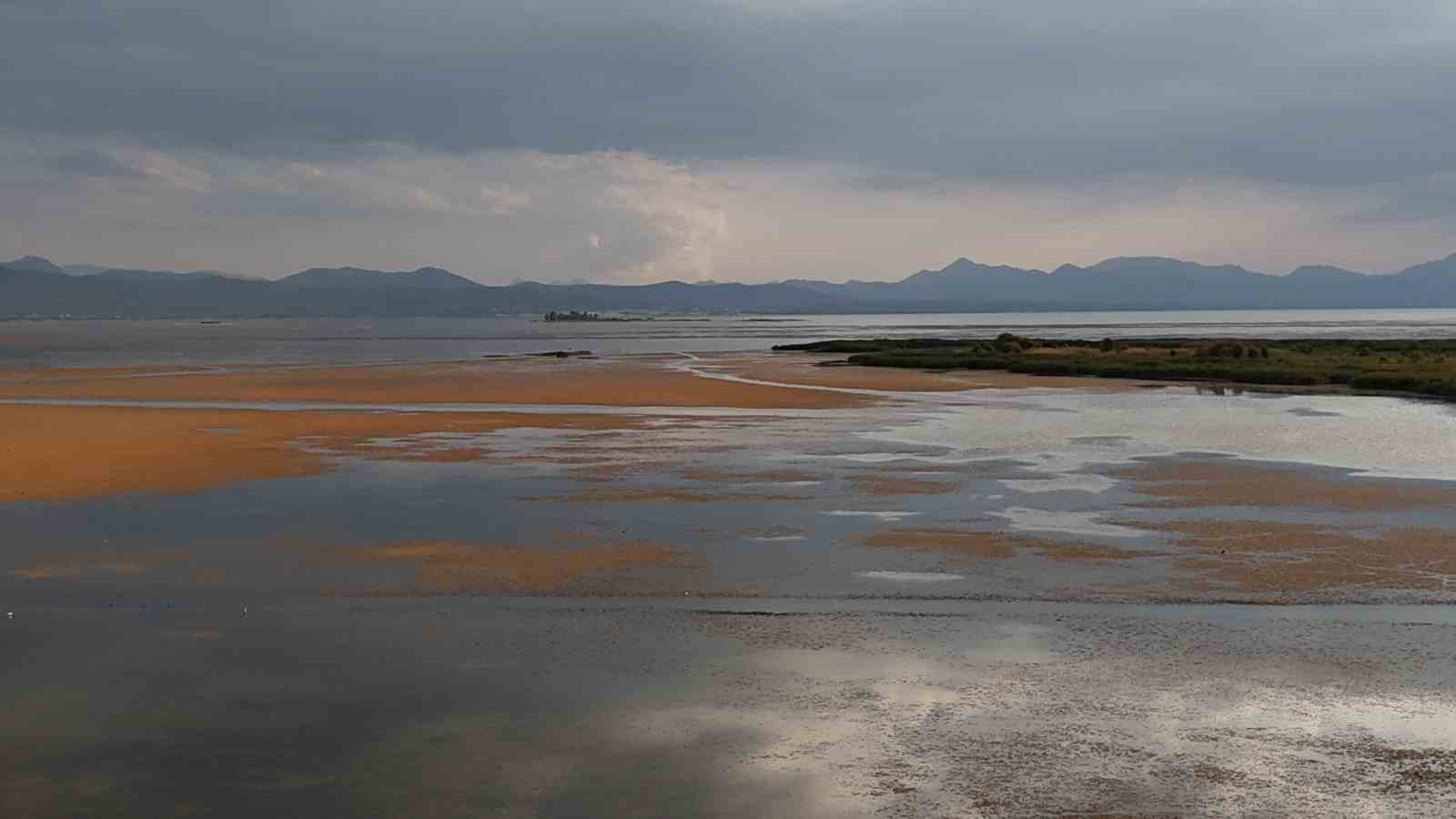 Beyşehirli balık&ccedil;ılar g&ouml;l i&ccedil;in endişeli, g&ouml;l kenarında toplanıp kurban kestiler
