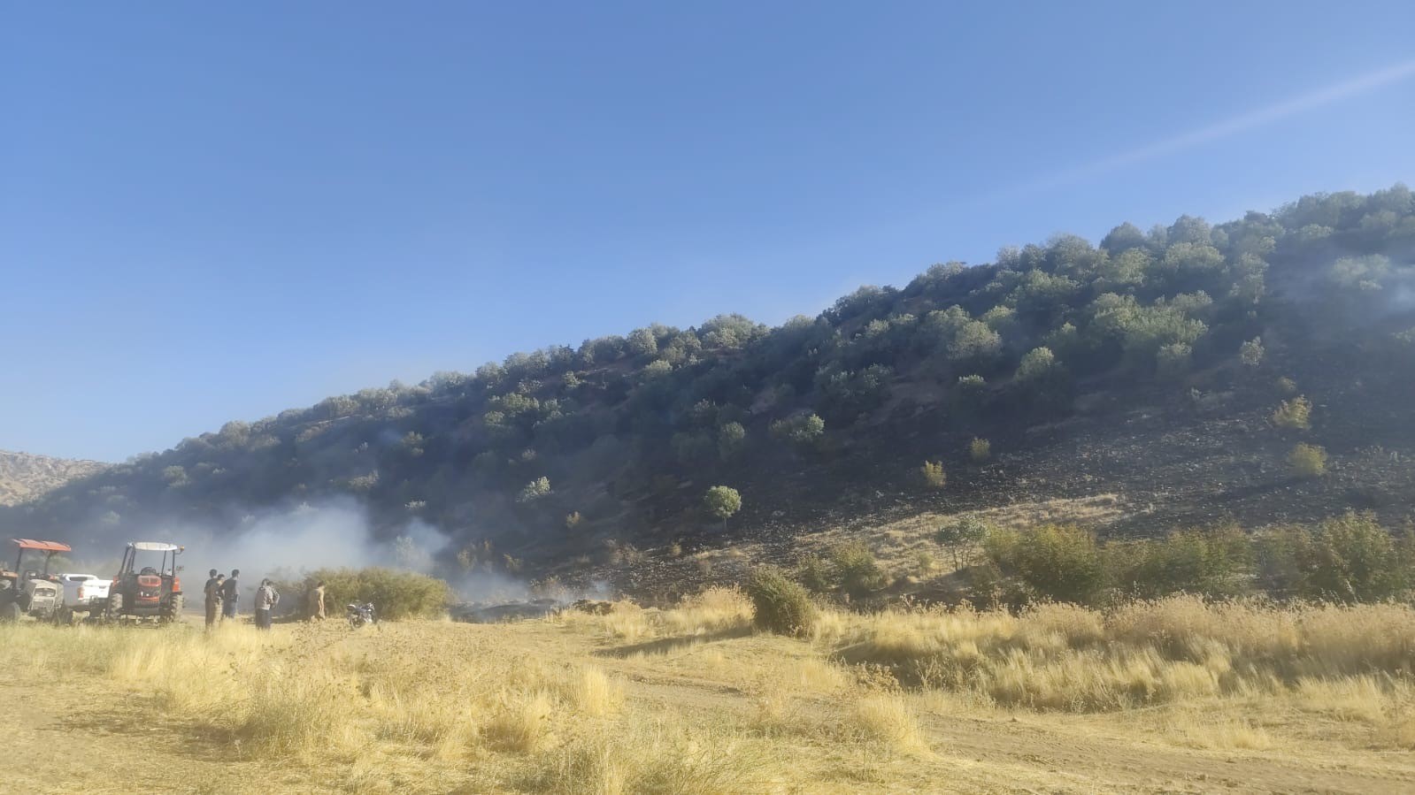 Diyarbakır’da anız yangını ormanlık alana sıçradı