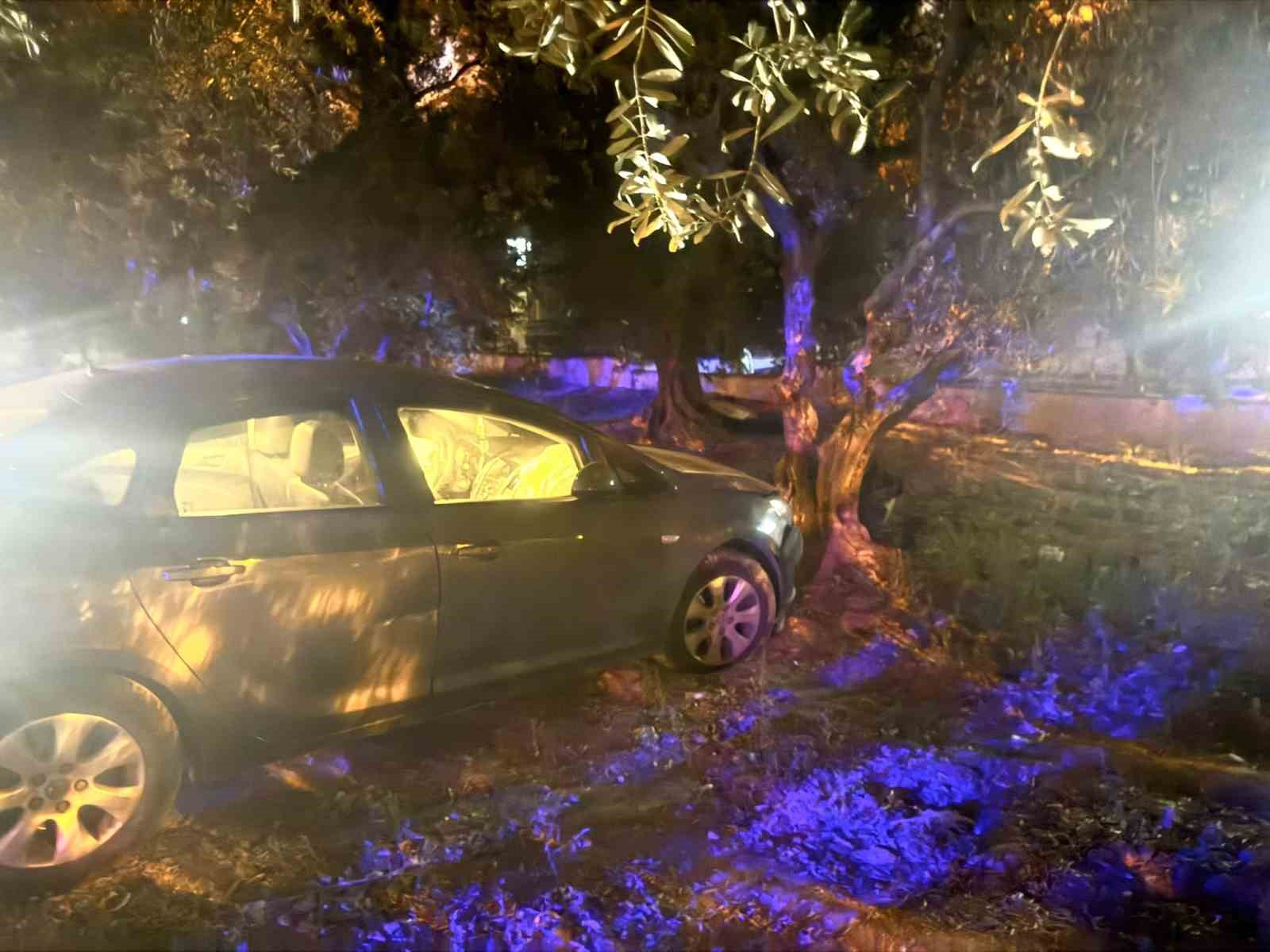 Kontrolden çıkan otomobil zeytin bahçesine girdi: 1 yaralı